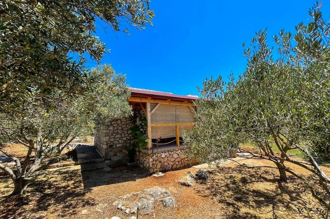 Seaside House For Families With Children Cove Sveti Ante, Pasman - 19467 Villa 0*,  Croatia